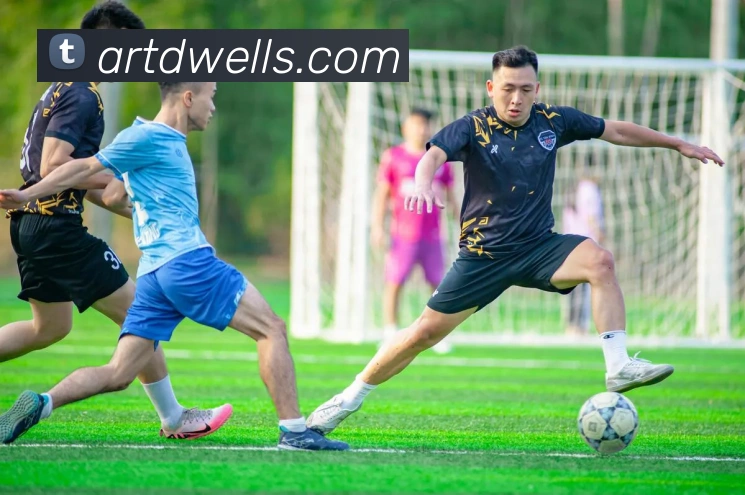 c7网页版服务体系